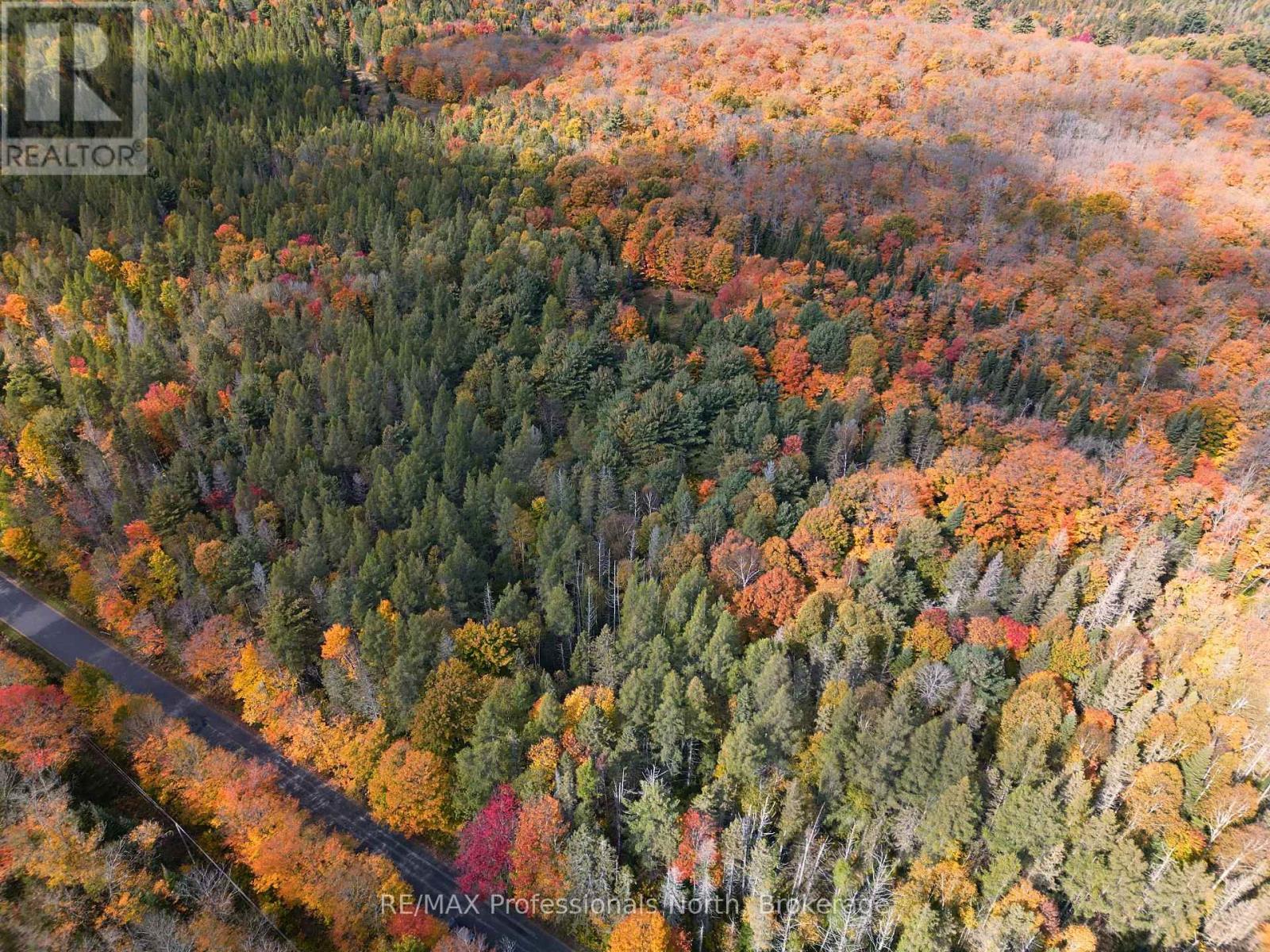 276 Fern Glen Road, Perry, Ontario  P0A 1J0 - Photo 2 - X12141071