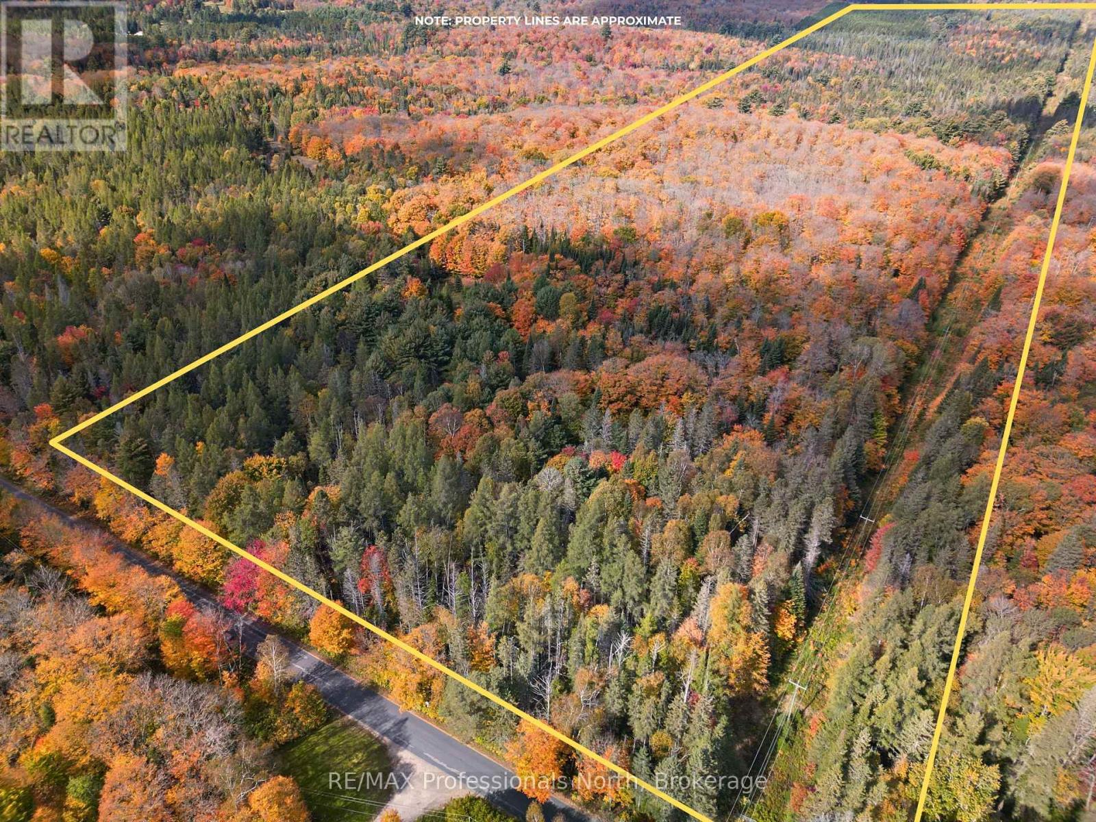 276 Fern Glen Road, Perry, Ontario  P0A 1J0 - Photo 1 - X12141071