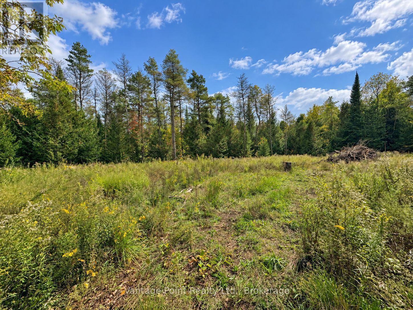 736038 West Back Line, Chatsworth, Ontario  N0C 1H0 - Photo 38 - X13862080