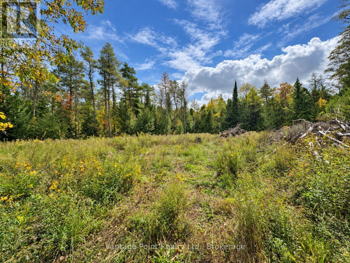 736038 West Back Line, Chatsworth, Ontario  N0C 1H0 - Photo 39 - X13862080
