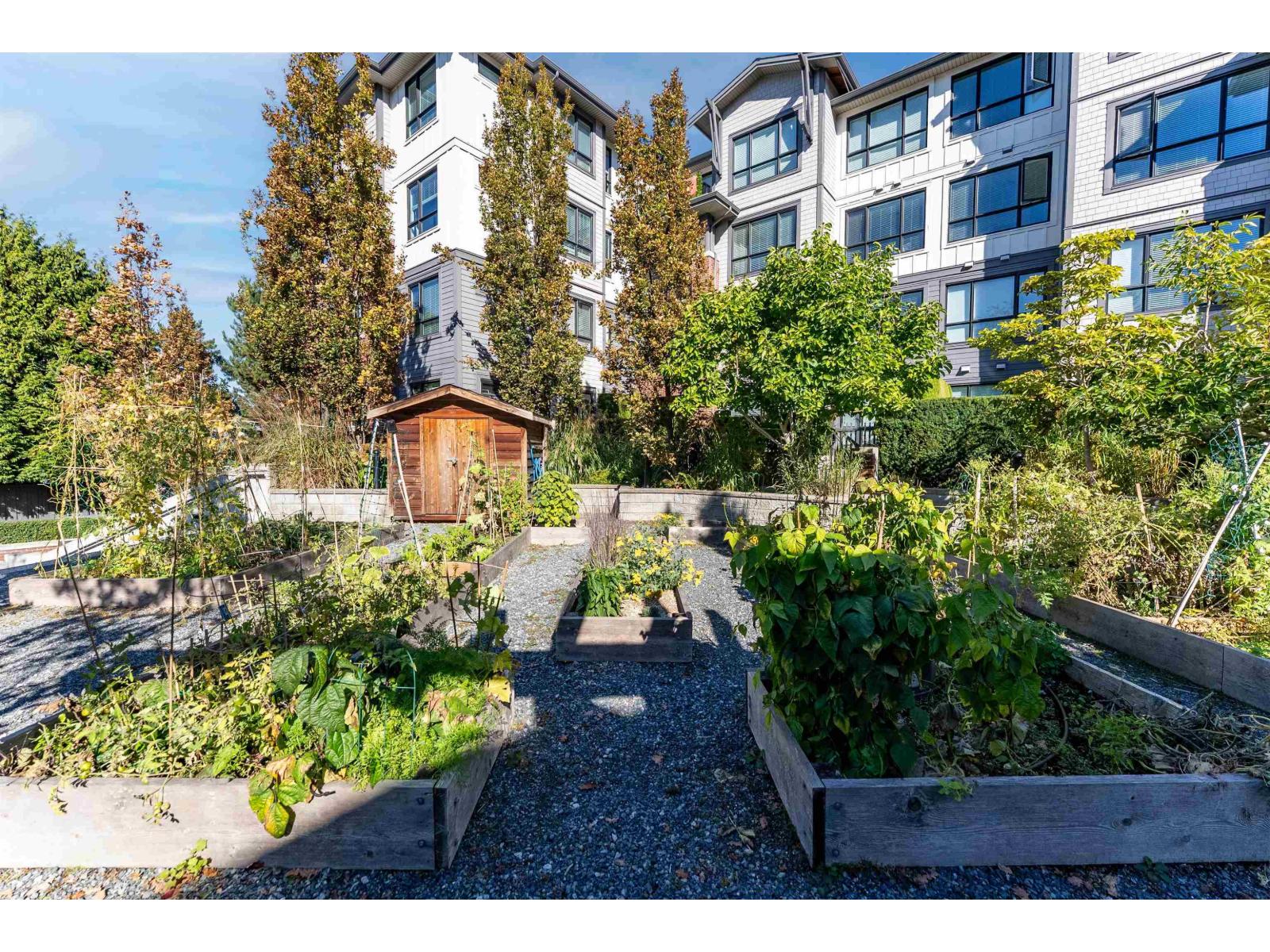 6 2988 151 Street, Surrey, British Columbia V4P 0G1 - Photo 36 - R3171227