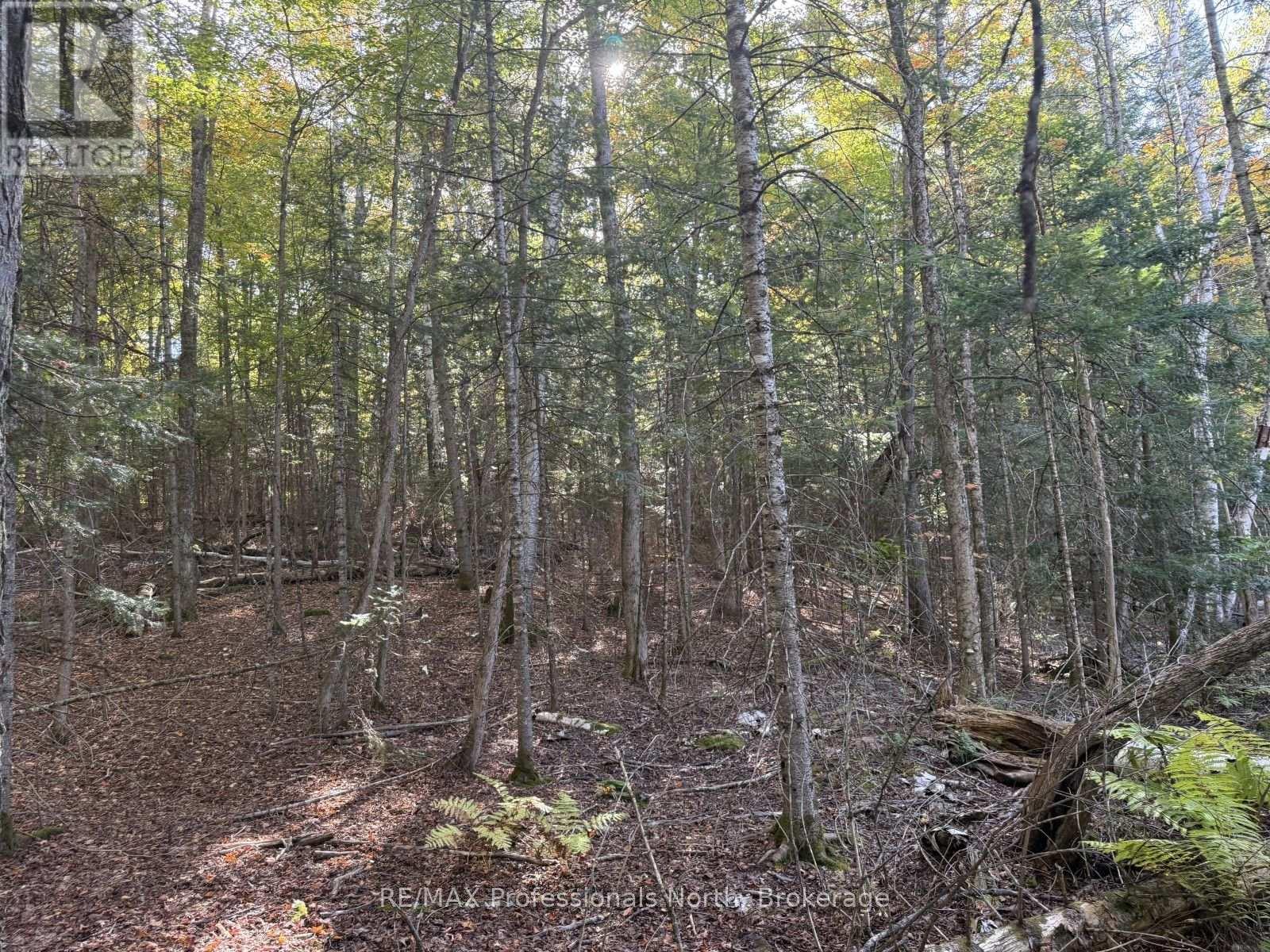 Lt 68 Pl 581 North Drive, Dysart Et Al, Ontario  K0M 1S0 - Photo 9 - X13625966