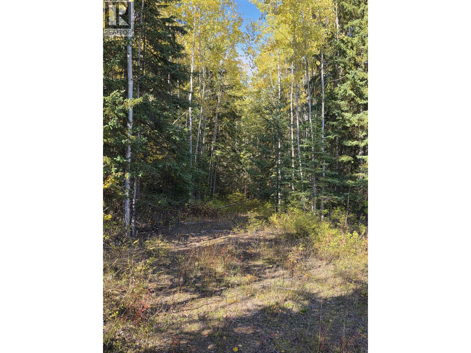 6380 Dawsons Lane, Smithers, British Columbia  V0J 2N2 - Photo 21 - R3172344