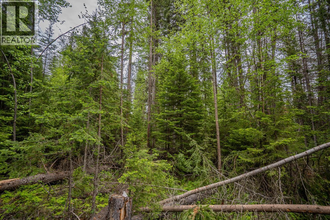 Lot 88 Julsrud Road, Deka Lake / Sulphurous / Hathaway Lakes, British Columbia  V0K 1X3 - Photo 10 - R3172345