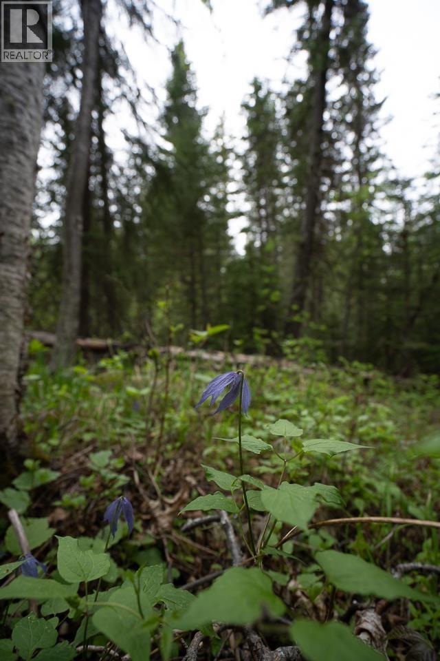 Lot 88 Julsrud Road, Deka Lake / Sulphurous / Hathaway Lakes, British Columbia  V0K 1X3 - Photo 11 - R3172345