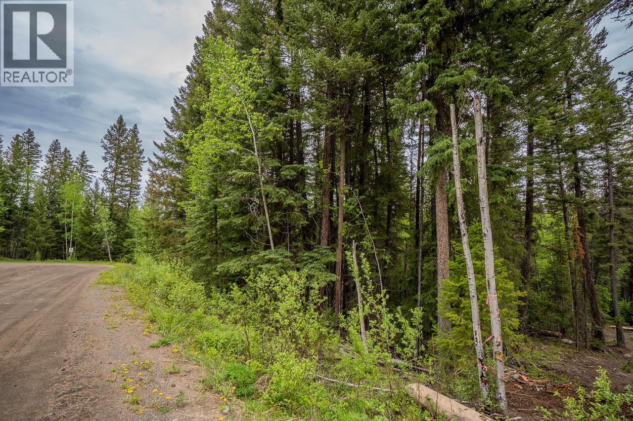 Lot 88 Julsrud Road, Deka Lake / Sulphurous / Hathaway Lakes, British Columbia  V0K 1X3 - Photo 4 - R3172345