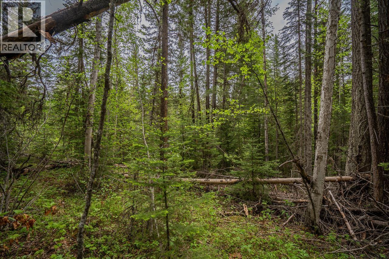 Lot 88 Julsrud Road, Deka Lake / Sulphurous / Hathaway Lakes, British Columbia  V0K 1X3 - Photo 6 - R3172345