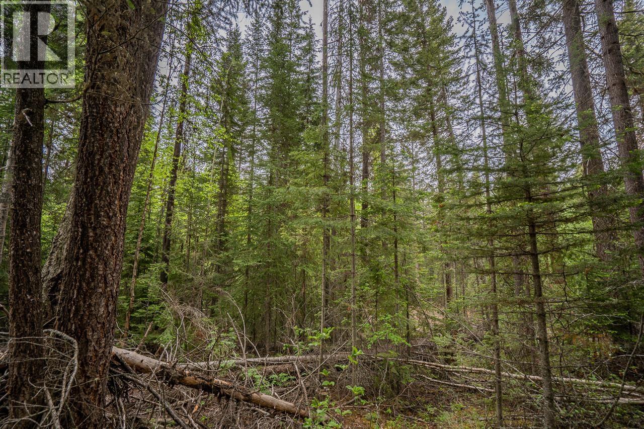 Lot 88 Julsrud Road, Deka Lake / Sulphurous / Hathaway Lakes, British Columbia  V0K 1X3 - Photo 8 - R3172345