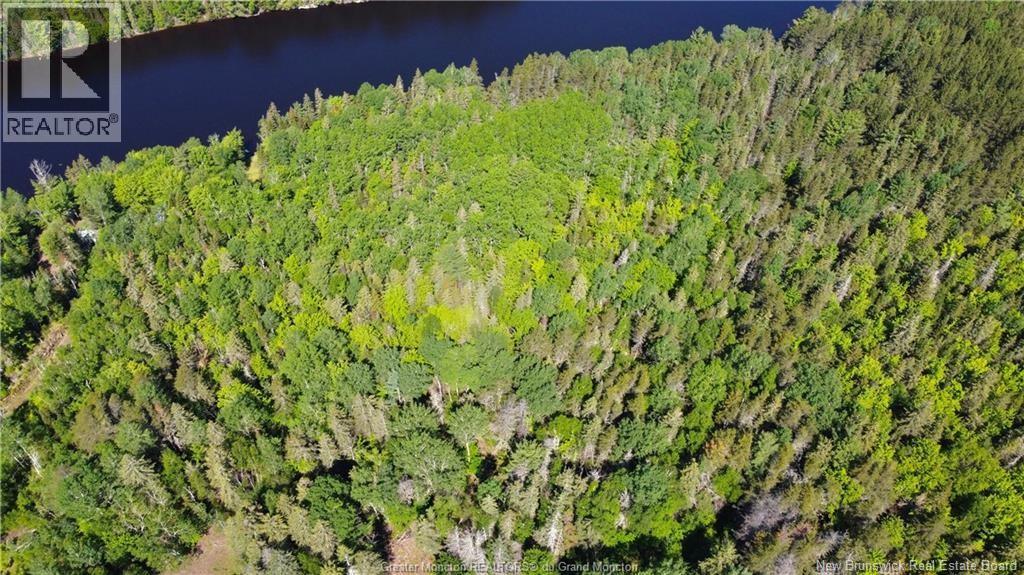 Lot Targetville Road, Browns Yard, New Brunswick  E4T 1W7 - Photo 6 - NB147902