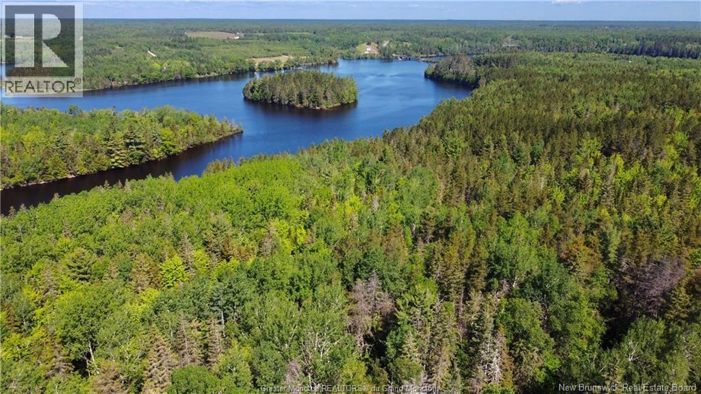 Lot Targetville Road, Browns Yard, New Brunswick  E4T 1W7 - Photo 8 - NB147902