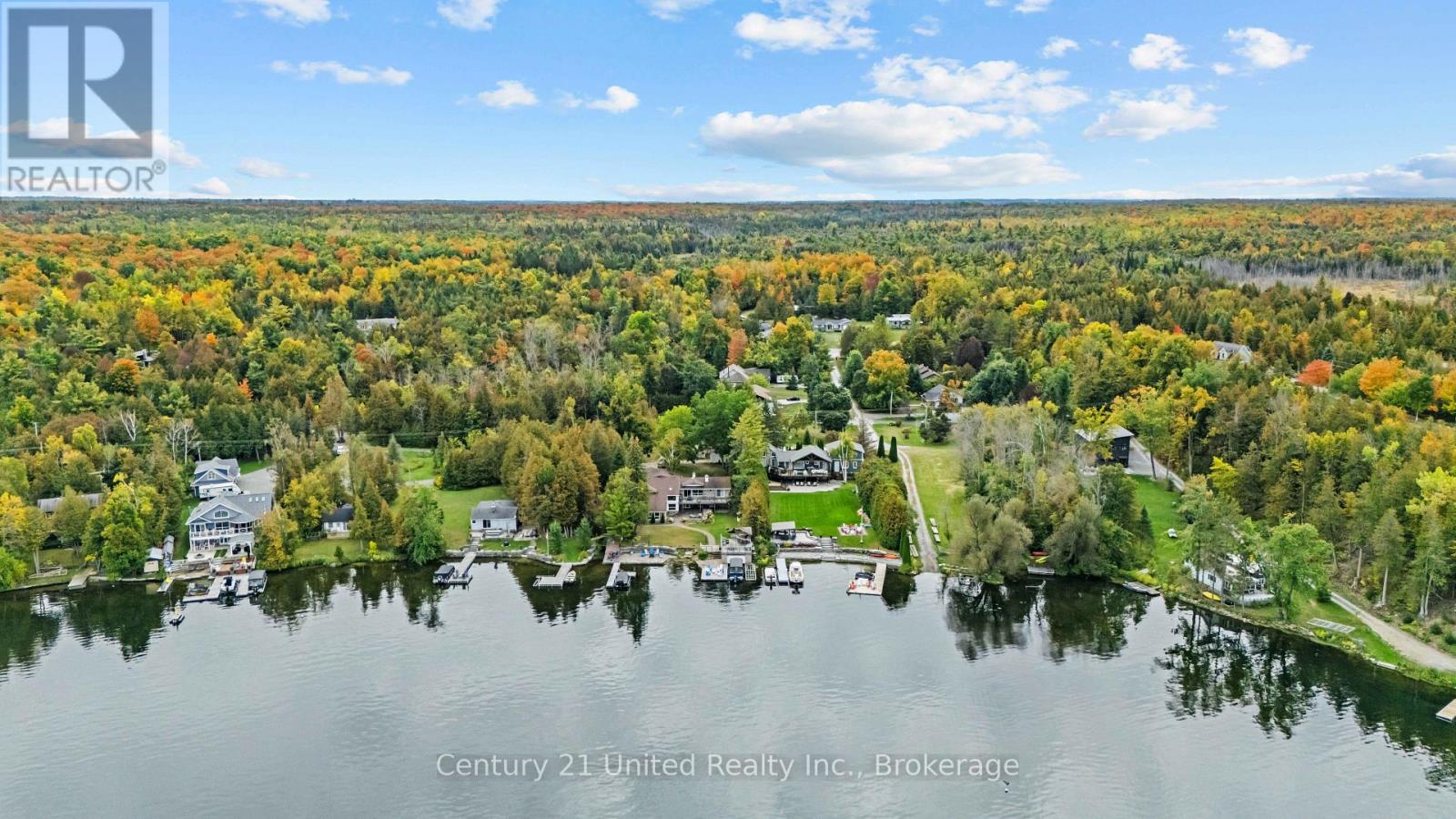 1249 Birchview Road, Douro-Dummer, Ontario  K0L 2H0 - Photo 33 - X13849202