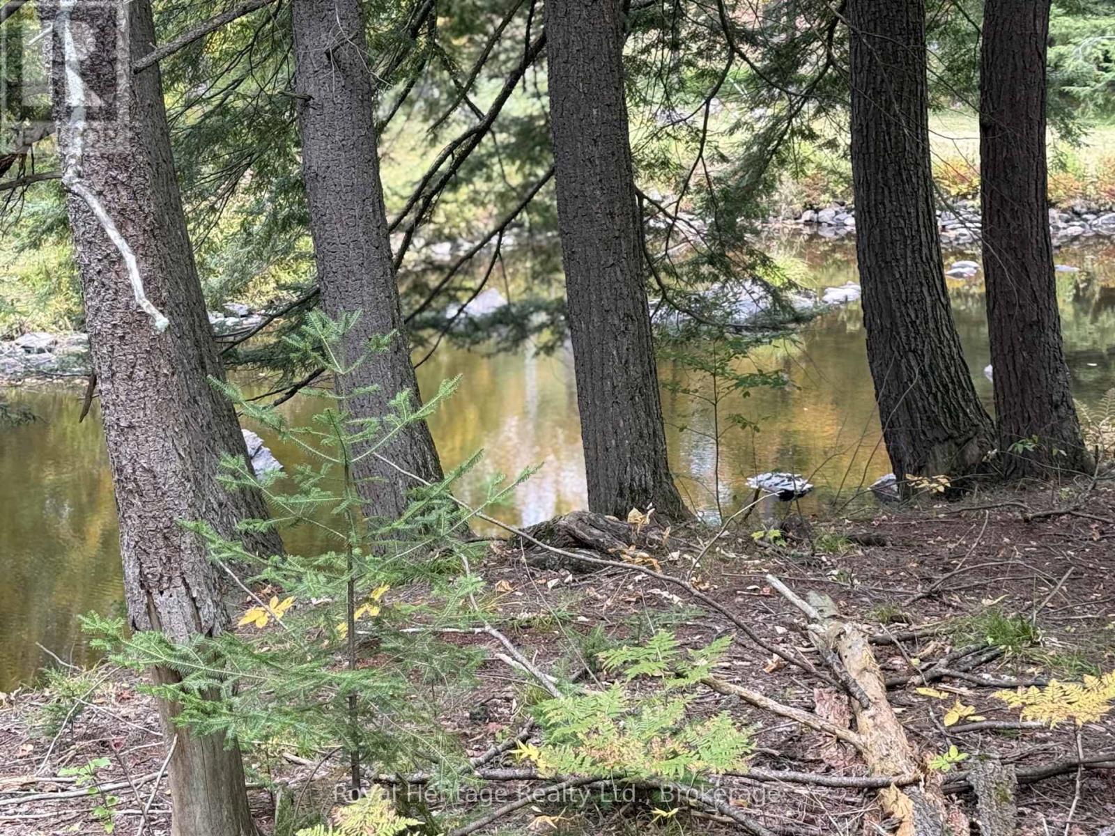 7 Fire Route 92 Route, Trent Lakes, Ontario  K0M 1A0 - Photo 1 - X13863012