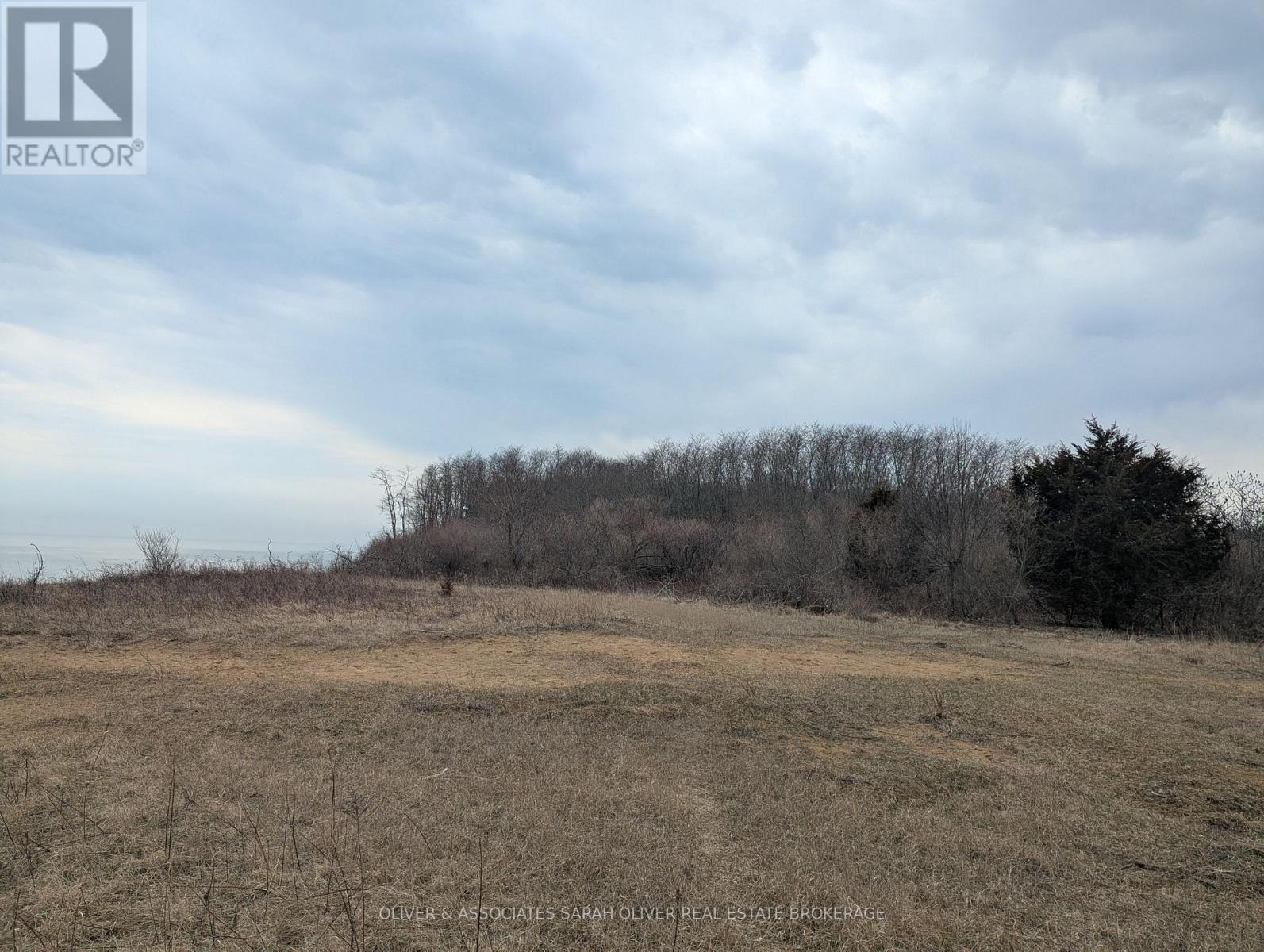Between 25097 & 24745 Gray Line, West Elgin, Ontario  N0L 2P0 - Photo 11 - X13862892