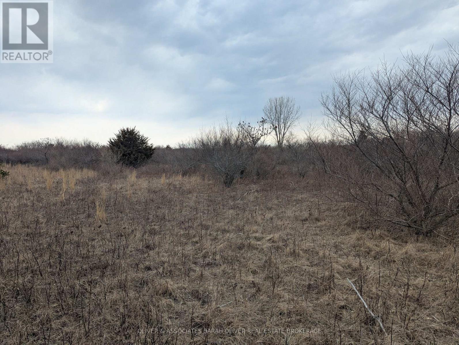 Between 25097 & 24745 Gray Line, West Elgin, Ontario  N0L 2P0 - Photo 12 - X13862892