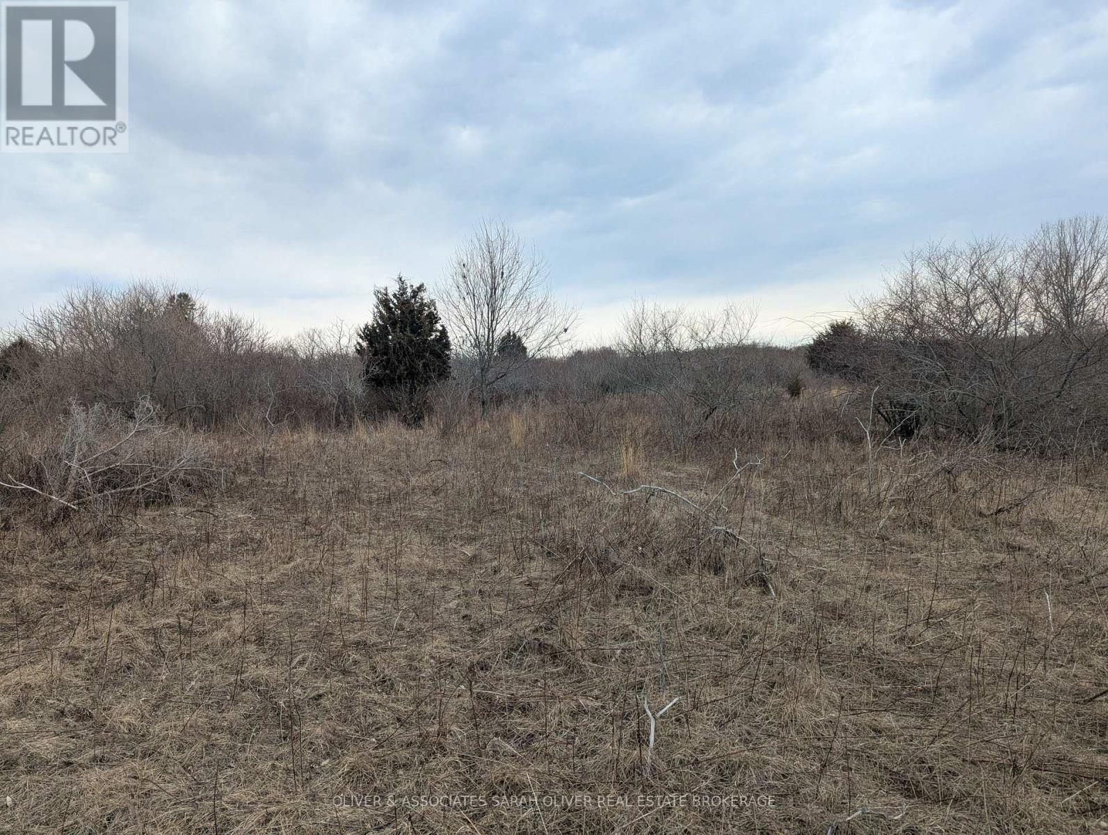 Between 25097 & 24745 Gray Line, West Elgin, Ontario  N0L 2P0 - Photo 9 - X13862892