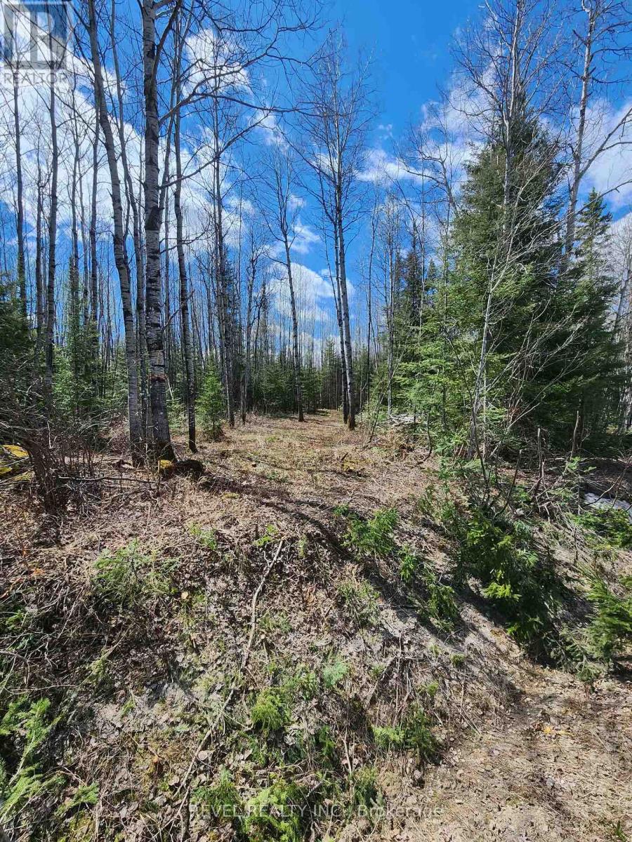 CON 1 N PT LOT 3 MCCART Iroquois Falls Ontario Canada P0K1E0 4