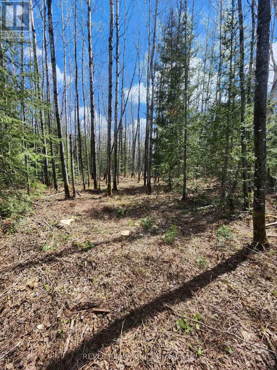 CON 1 N PT LOT 3 MCCART Iroquois Falls Ontario Canada P0K1E0 5