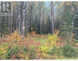 CON 1 N PT LOT 3 MCCART, Iroquois Falls, Ontario