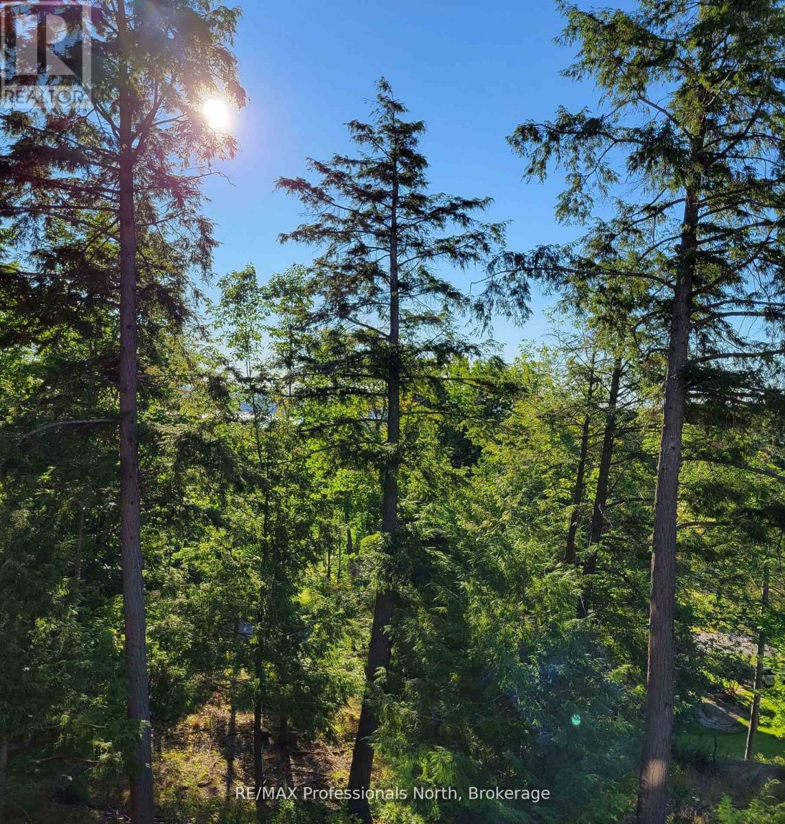 202 - 3 Tree Tops Lane, Huntsville, Ontario  P1H 1A9 - Photo 13 - X13861444