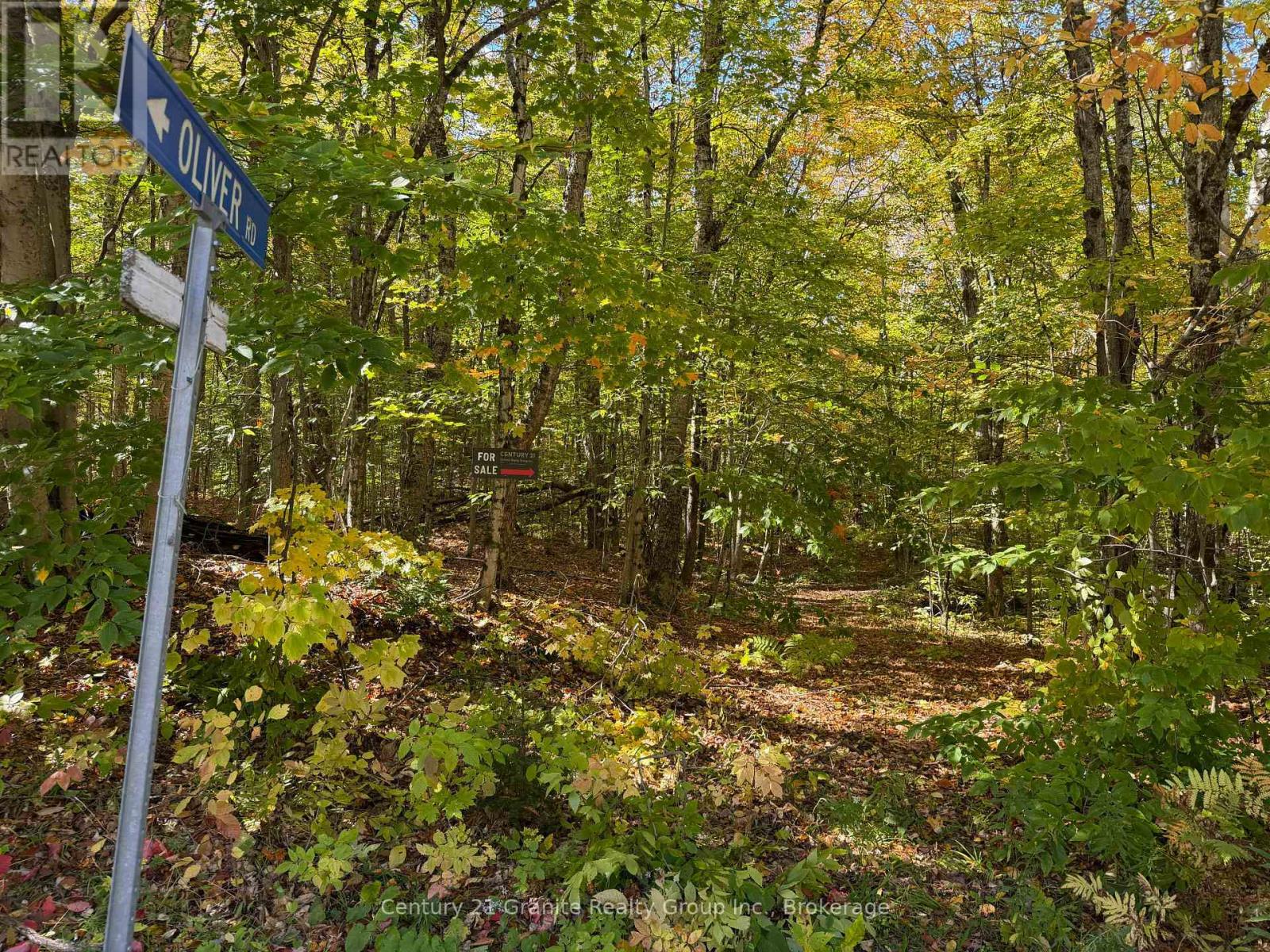 00 Kushog Lake Road, Algonquin Highlands, Ontario  K0M 1S0 - Photo 1 - X13862886