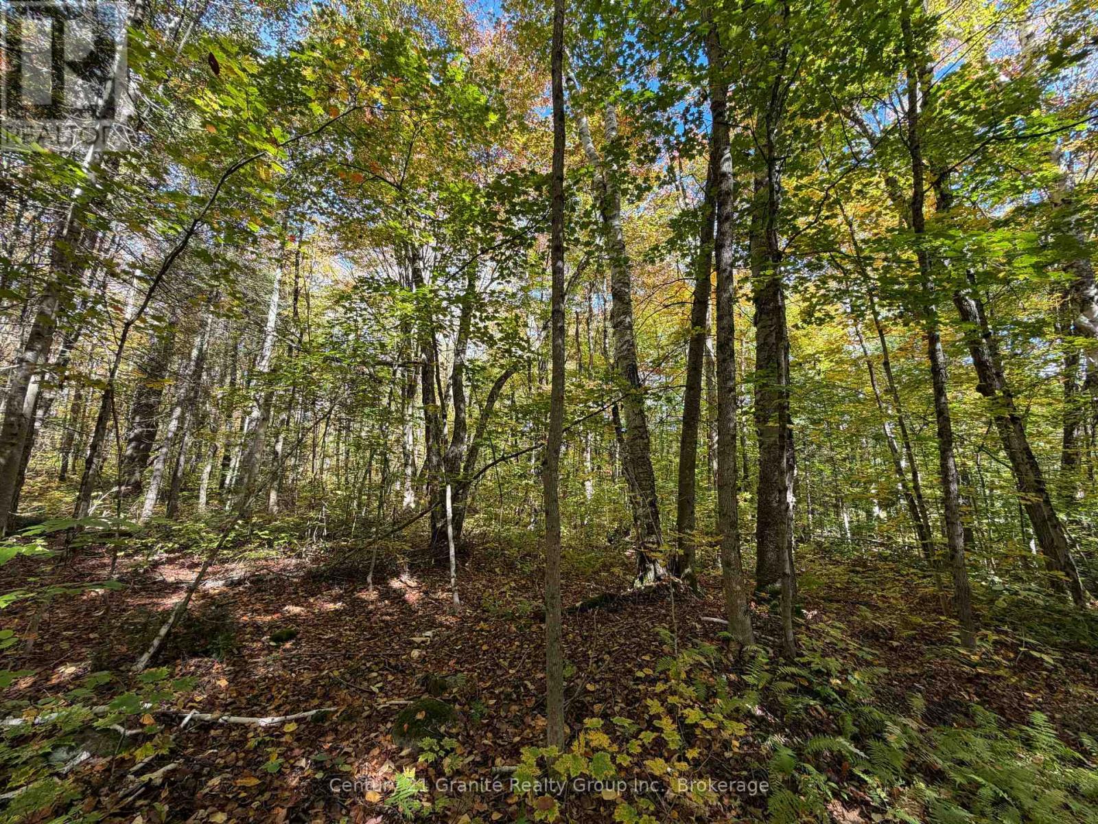 00 Kushog Lake Road, Algonquin Highlands, Ontario  K0M 1S0 - Photo 10 - X13862886