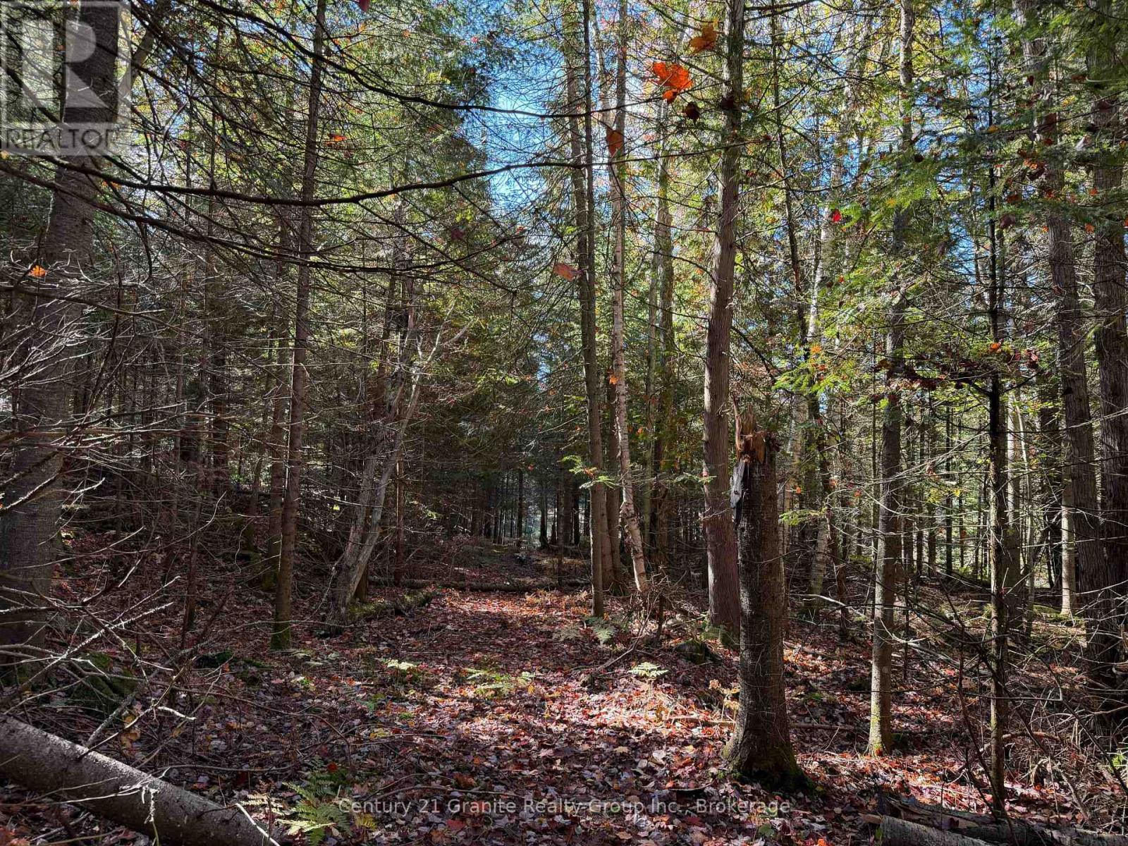 00 Kushog Lake Road, Algonquin Highlands, Ontario  K0M 1S0 - Photo 11 - X13862886