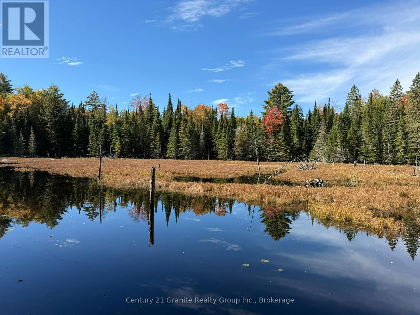 00 Kushog Lake Road, Algonquin Highlands, Ontario  K0M 1S0 - Photo 13 - X13862886