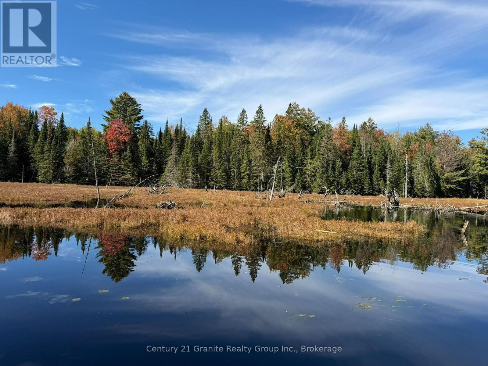 00 Kushog Lake Road, Algonquin Highlands, Ontario  K0M 1S0 - Photo 14 - X13862886