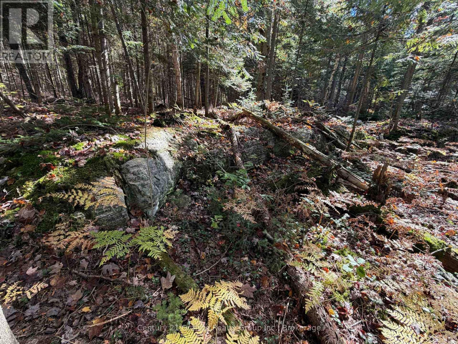 00 Kushog Lake Road, Algonquin Highlands, Ontario  K0M 1S0 - Photo 16 - X13862886