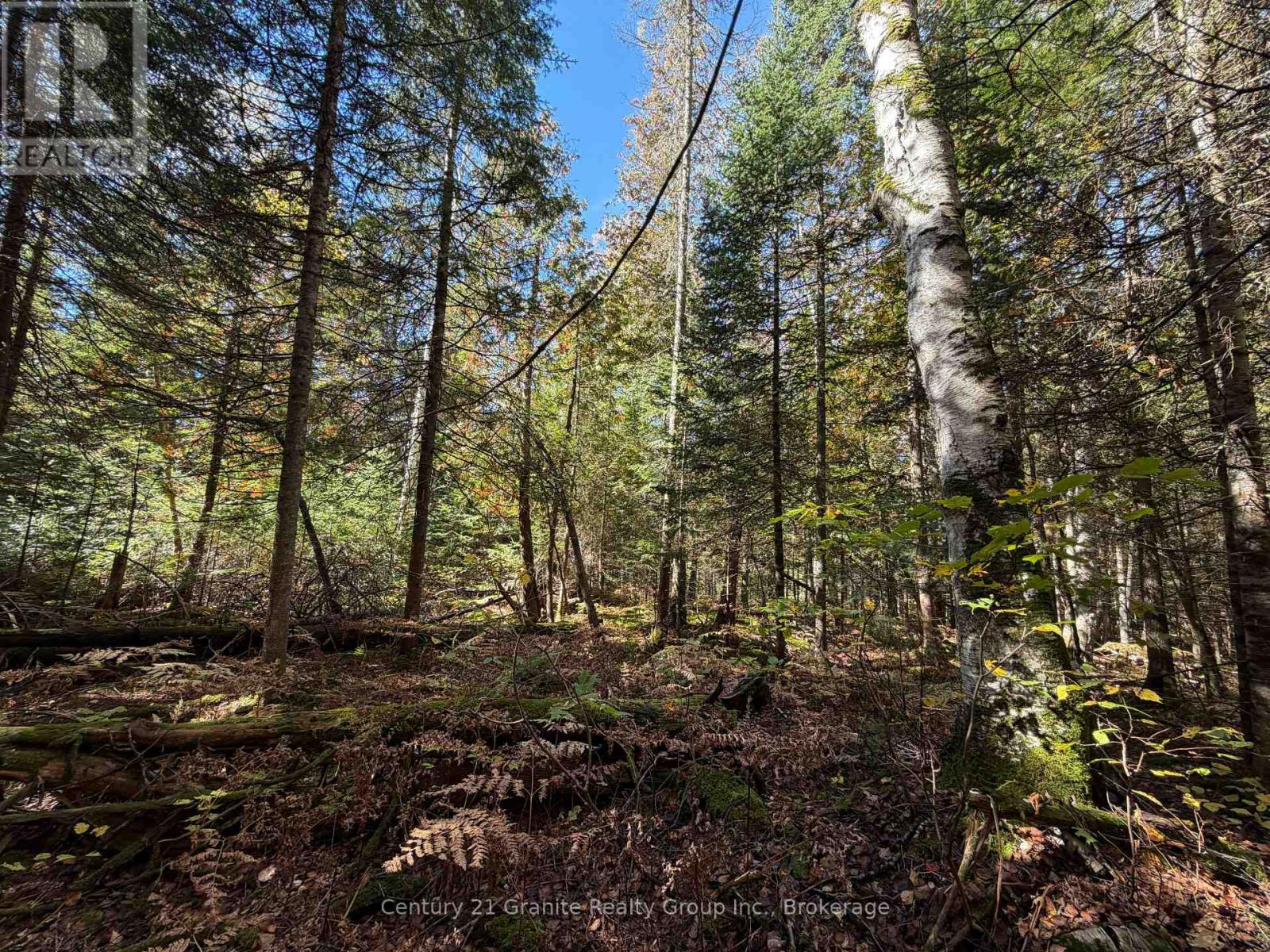 00 Kushog Lake Road, Algonquin Highlands, Ontario  K0M 1S0 - Photo 18 - X13862886