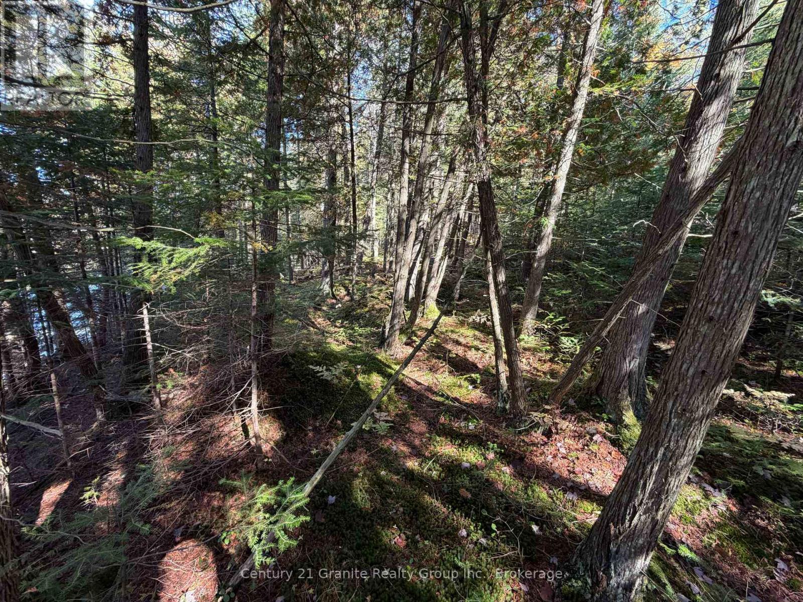 00 Kushog Lake Road, Algonquin Highlands, Ontario  K0M 1S0 - Photo 24 - X13862886