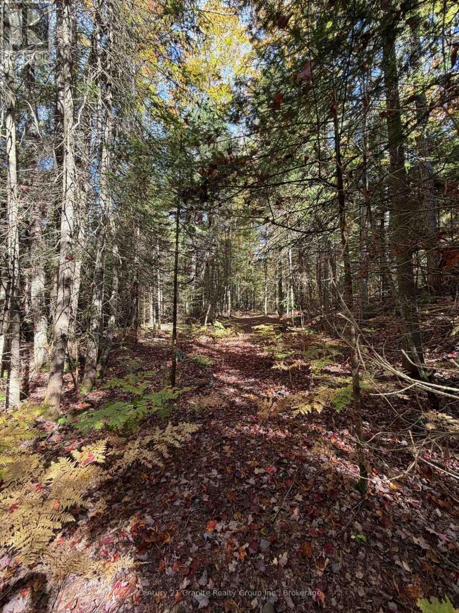 00 Kushog Lake Road, Algonquin Highlands, Ontario  K0M 1S0 - Photo 26 - X13862886
