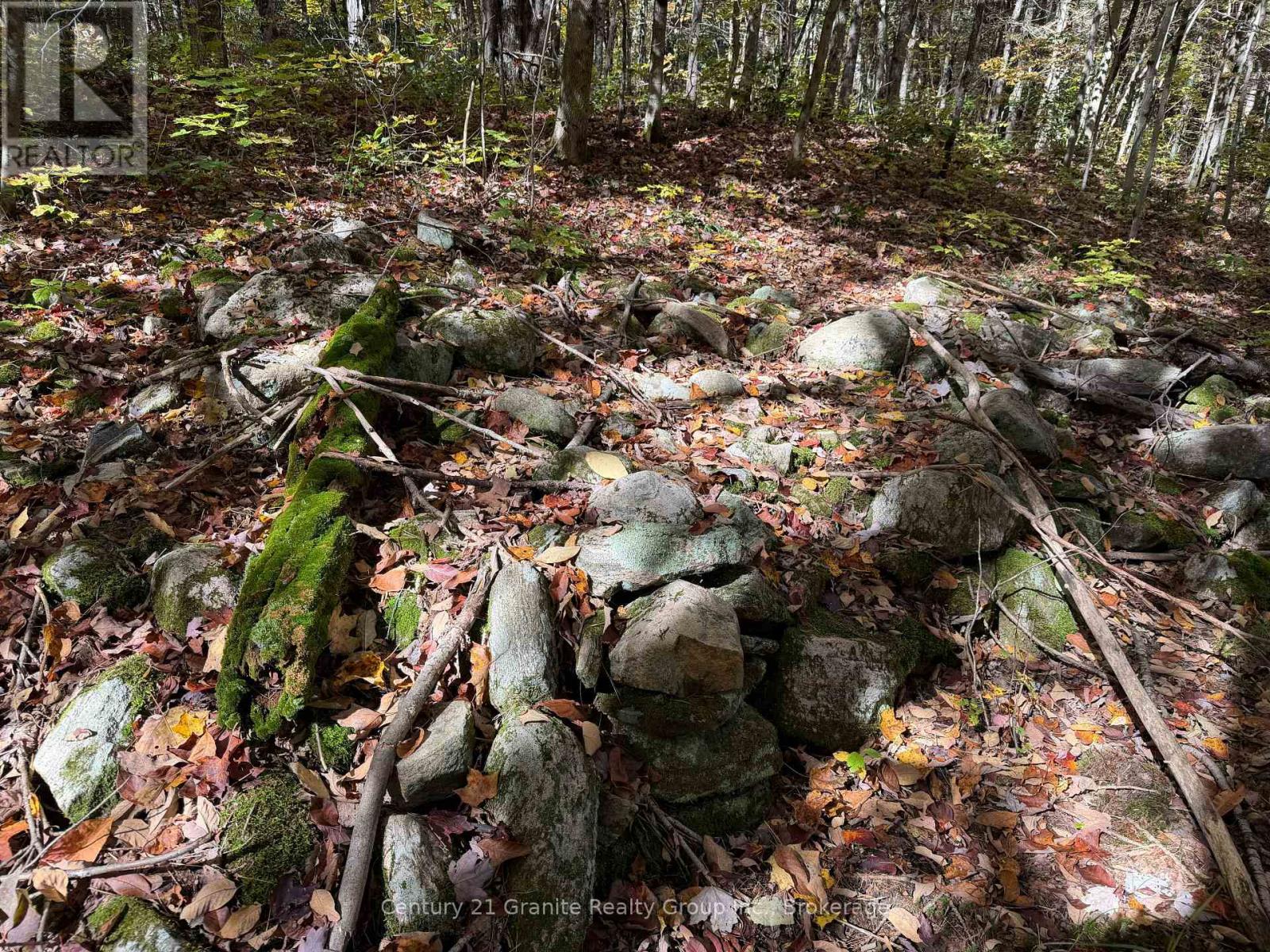 00 Kushog Lake Road, Algonquin Highlands, Ontario  K0M 1S0 - Photo 29 - X13862886