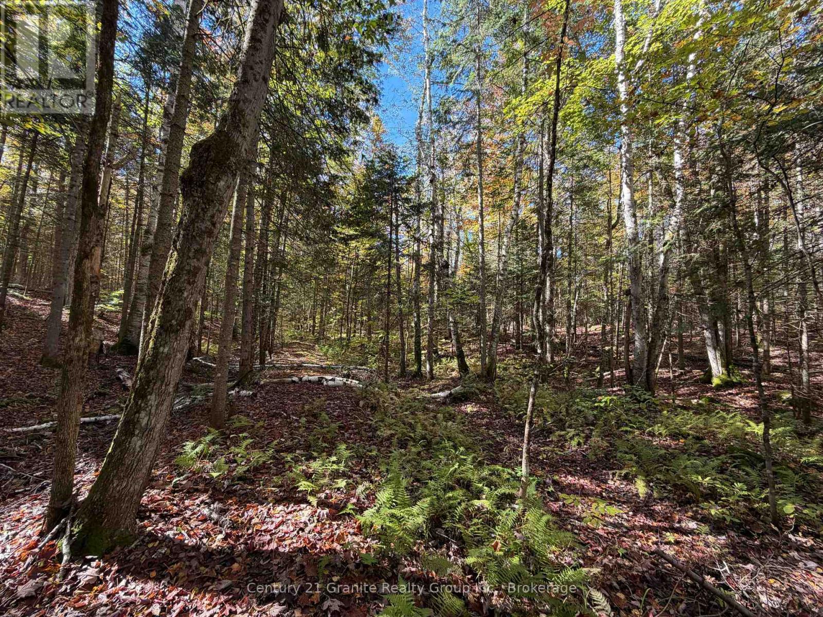 00 Kushog Lake Road, Algonquin Highlands, Ontario  K0M 1S0 - Photo 4 - X13862886