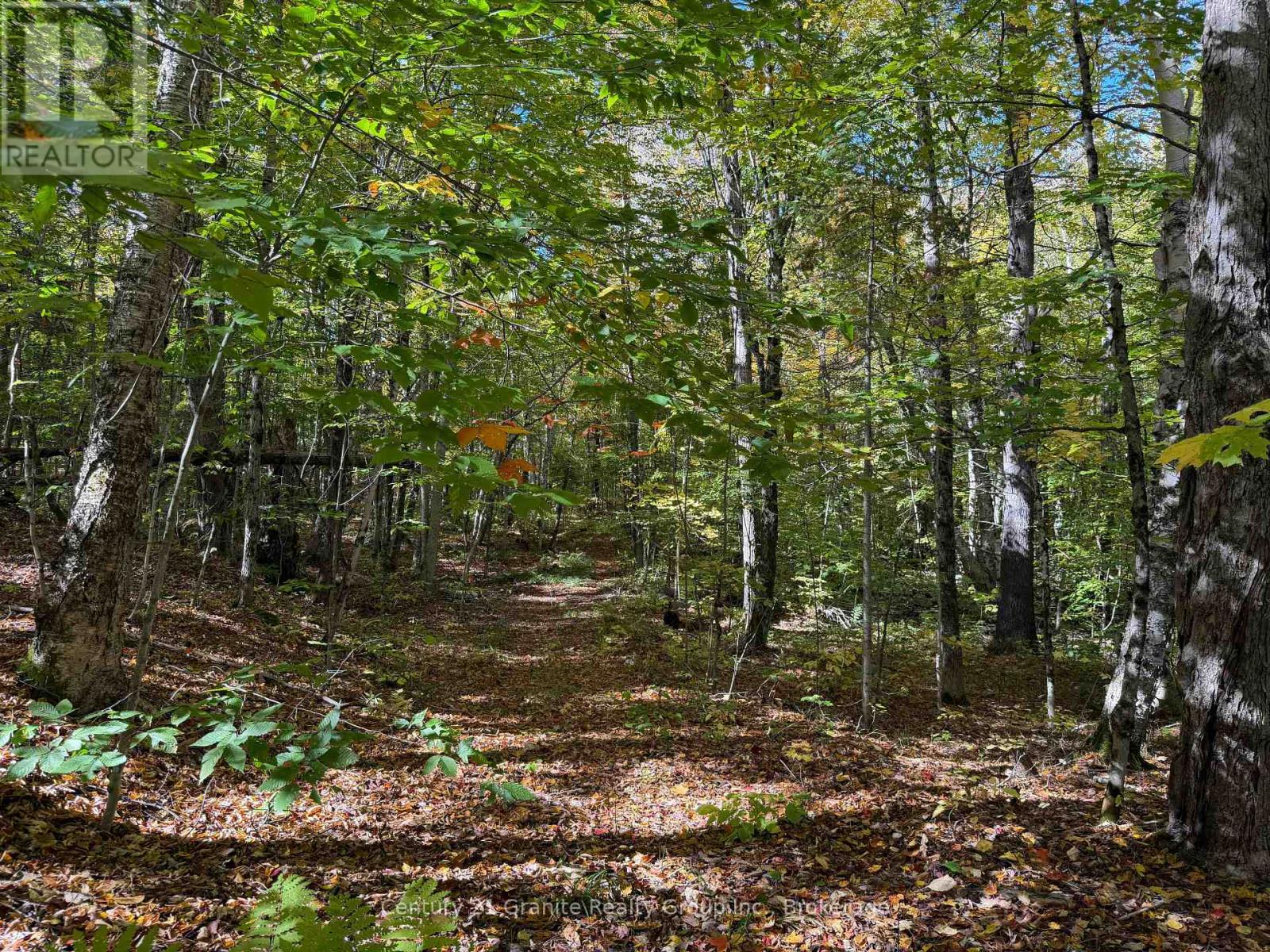 00 Kushog Lake Road, Algonquin Highlands, Ontario  K0M 1S0 - Photo 5 - X13862886