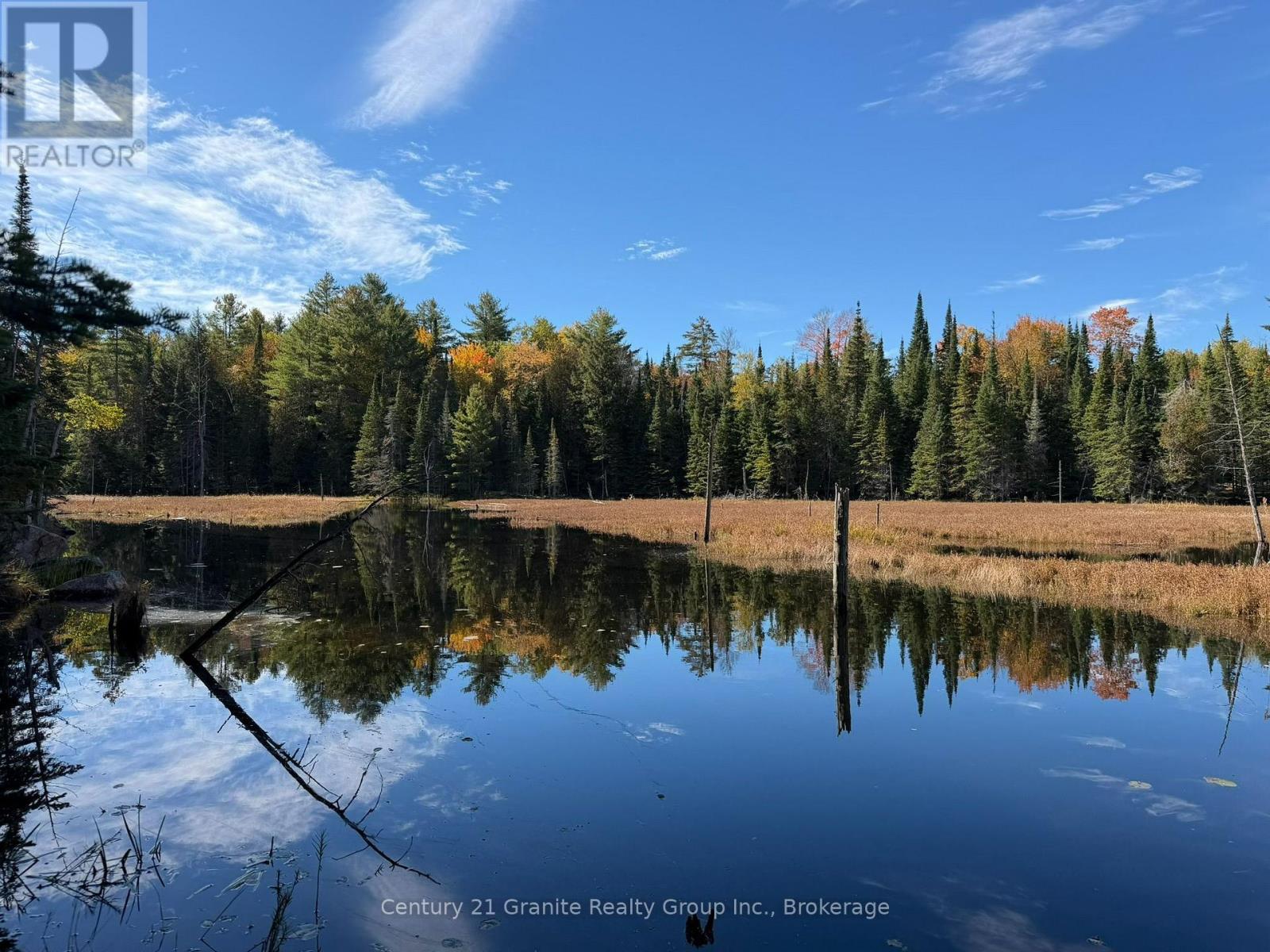 00 Kushog Lake Road, Algonquin Highlands, Ontario  K0M 1S0 - Photo 7 - X13862886