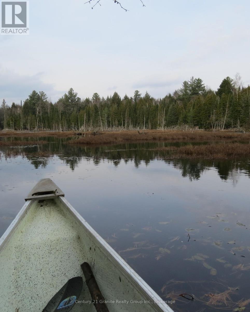 00 Kushog Lake Road, Algonquin Highlands, Ontario  K0M 1S0 - Photo 8 - X13862886