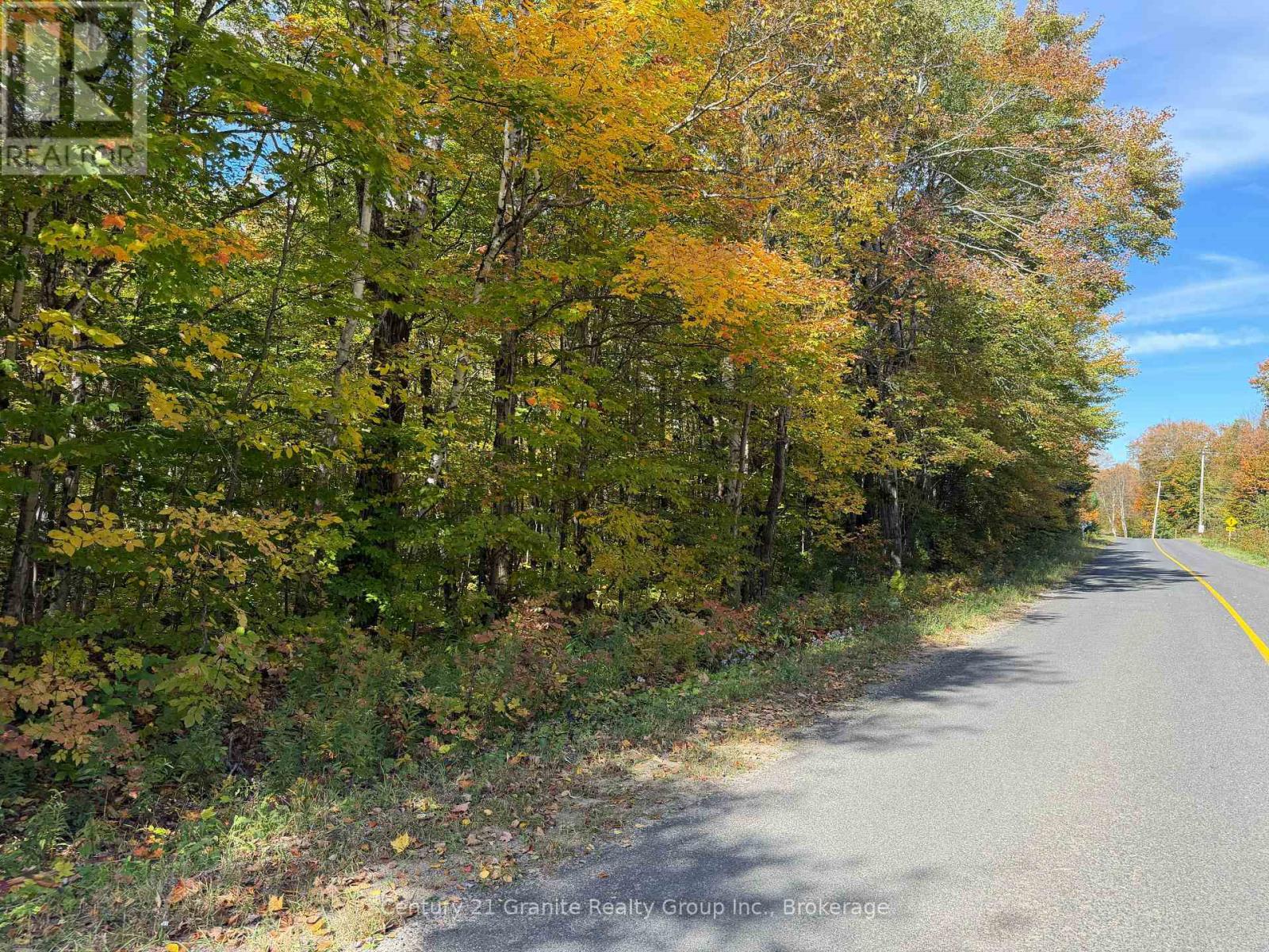 00 Kushog Lake Road, Algonquin Highlands, Ontario  K0M 1S0 - Photo 9 - X13862886