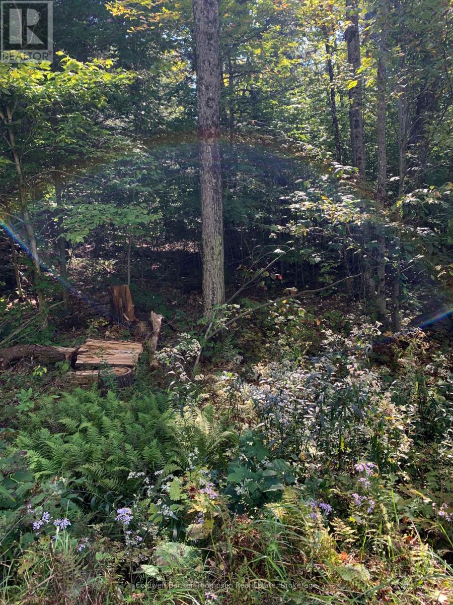 0 AHMIC LAKE ROAD, Magnetawan, Ontario