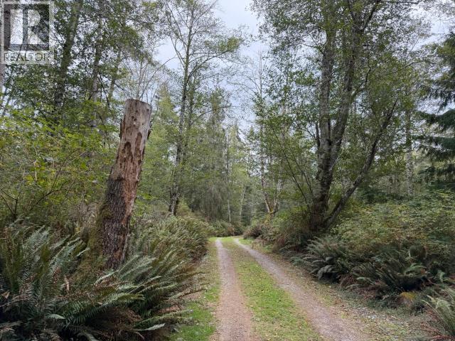 6597 Shelter Point Rd, Texada Island, British Columbia  V0N 3K0 - Photo 5 - 20246