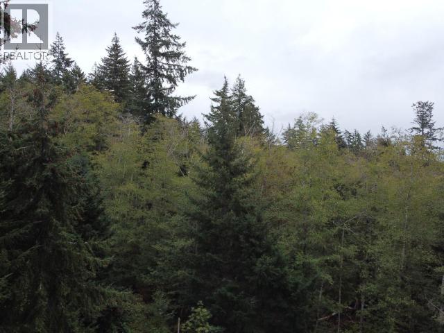 6597 Shelter Point Rd, Texada Island, British Columbia  V0N 3K0 - Photo 11 - 20246