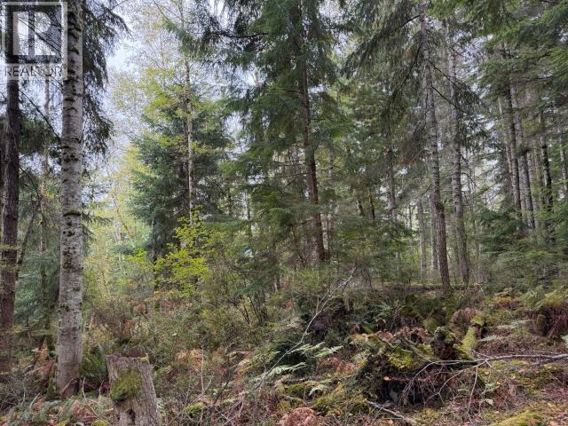 6597 Shelter Point Rd, Texada Island, British Columbia  V0N 3K0 - Photo 36 - 20246