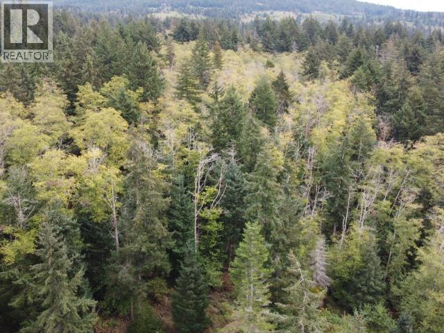 6597 Shelter Point Rd, Texada Island, British Columbia  V0N 3K0 - Photo 28 - 20246