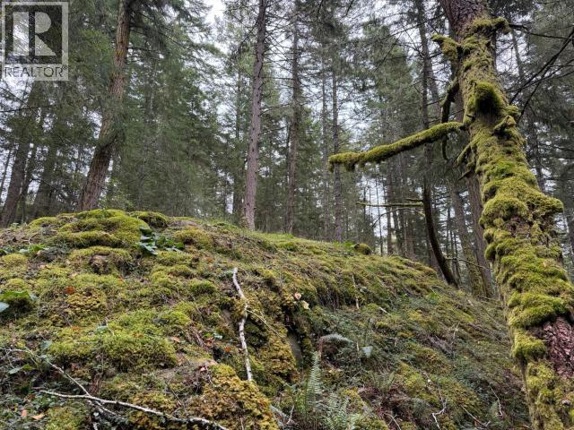 6597 Shelter Point Rd, Texada Island, British Columbia  V0N 3K0 - Photo 35 - 20246