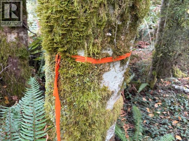 6597 Shelter Point Rd, Texada Island, British Columbia  V0N 3K0 - Photo 37 - 20246