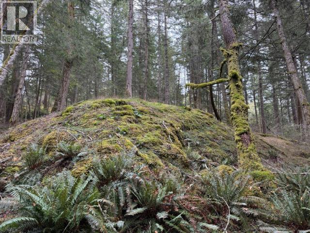 6597 Shelter Point Rd, Texada Island, British Columbia  V0N 3K0 - Photo 34 - 20246