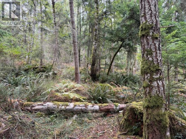 6597 Shelter Point Rd, Texada Island, British Columbia  V0N 3K0 - Photo 25 - 20246