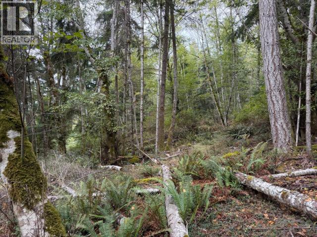 6597 Shelter Point Rd, Texada Island, British Columbia  V0N 3K0 - Photo 38 - 20246