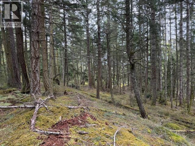 6597 Shelter Point Rd, Texada Island, British Columbia  V0N 3K0 - Photo 33 - 20246