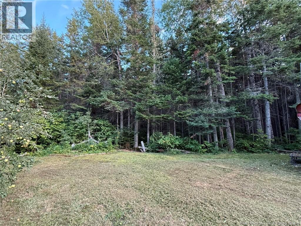 560 Cd Rue Principale, Beresford, New Brunswick  E8K 2A8 - Photo 11 - NB134534